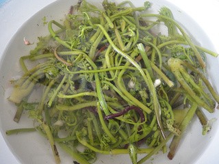 蕨菜炒肉详细做法