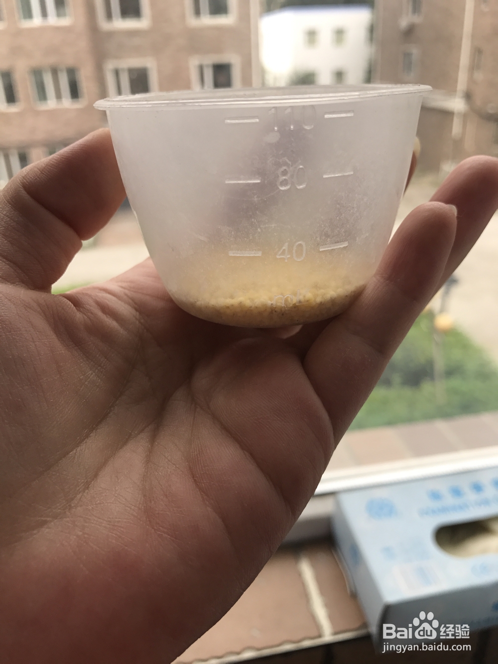 超级爱吃的苹果山药小米粥的做法