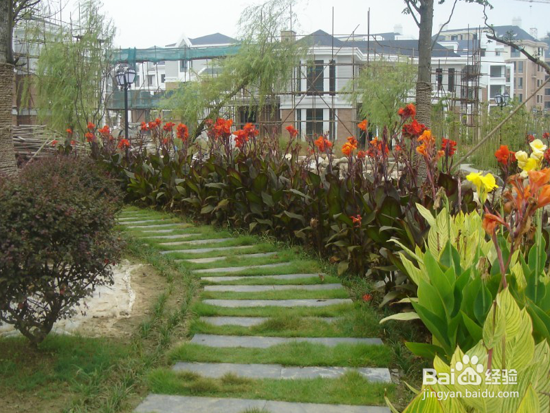 看房关键词简易解析--绿地率