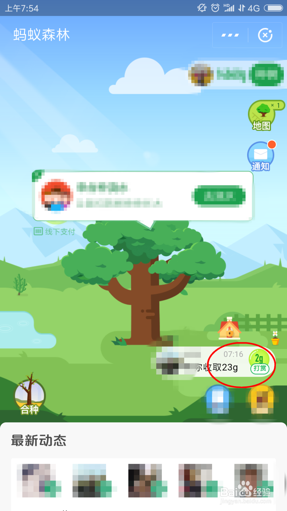蚂蚁森林怎样收集能量比较快