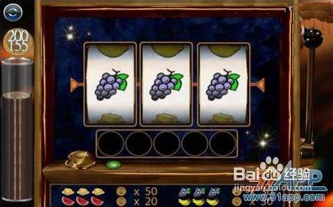 《九件魔器的奥秘》图文攻略之五兔爪