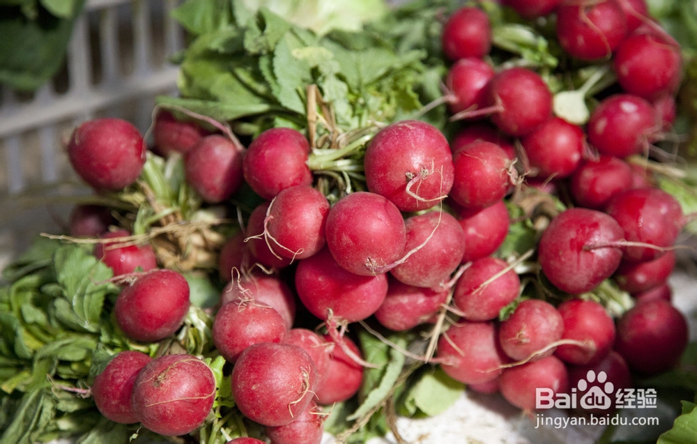 怎样挑选到香甜可口的樱桃萝卜
