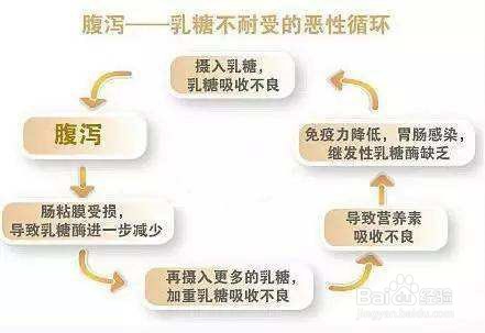 宝宝乳糖不耐受喝什么奶粉的注意事项