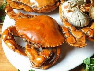 痛风能治好吗