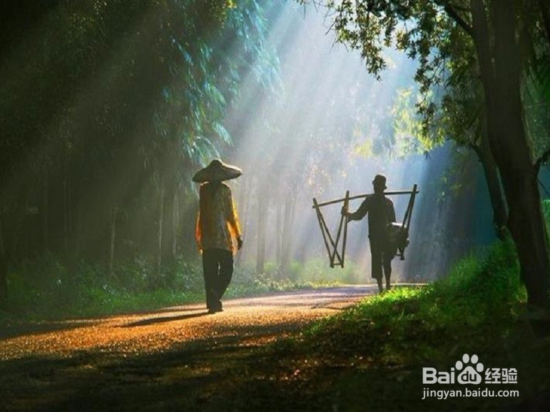 中山公园旅游攻略