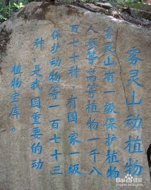 雾灵山风景区游玩攻略