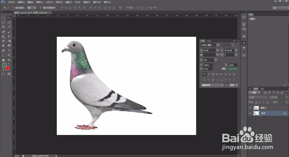 ps新手教学 必学7