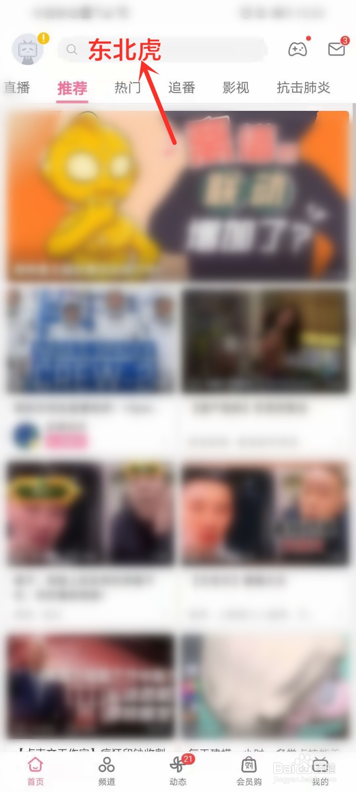 东北虎闯入黑龙江村庄直播在哪看