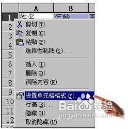 EXCEL技巧大全[2]如何设置单元格格式