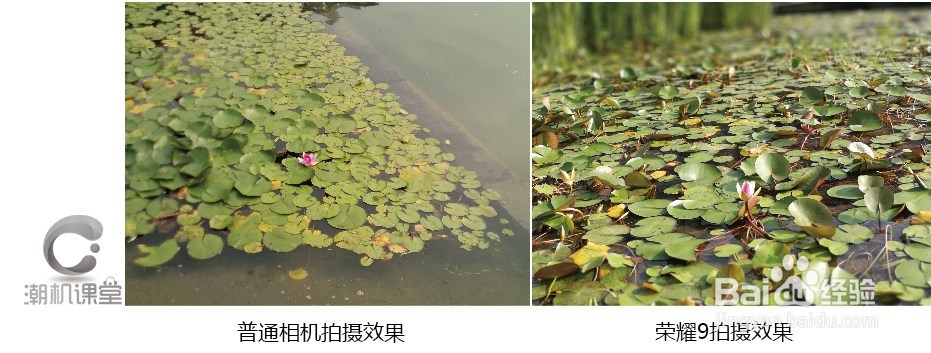 荣耀9相机/双摄变焦/双摄像头/变焦/#潮机课堂#