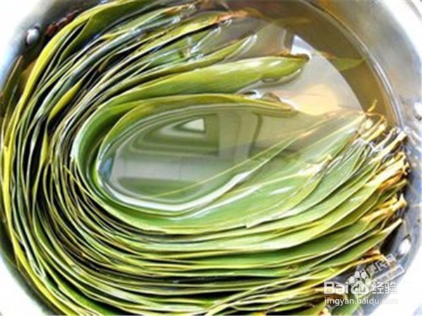 新鲜粽叶怎么处理