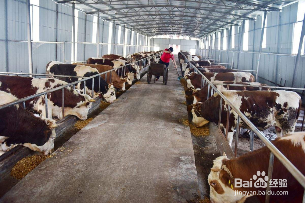 如何设计农房进行家庭养殖