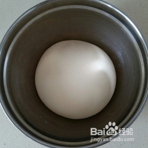 家庭版易学生煎包