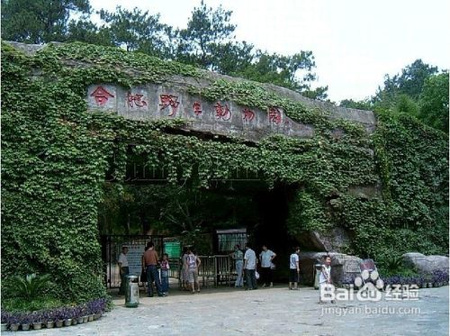 蜀山春晓,蜀山好玩吗