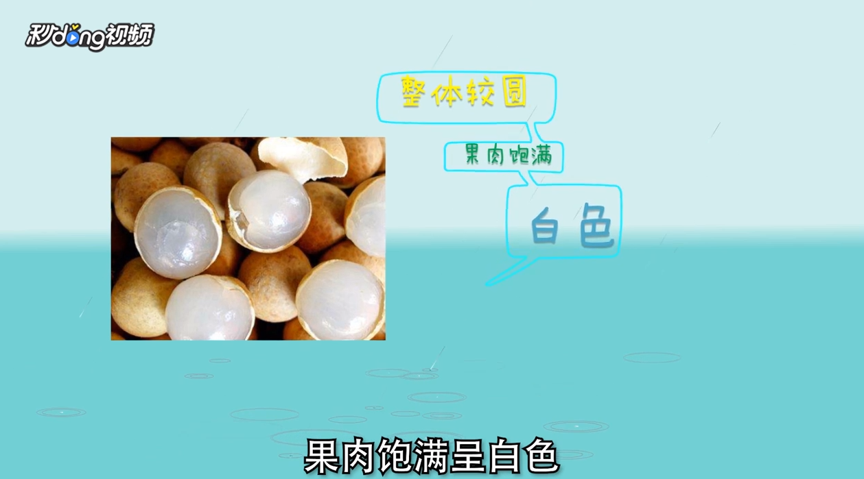 龙眼和桂圆怎么区分？