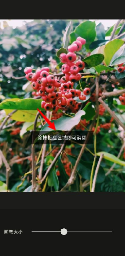 醒图如何去掉水印