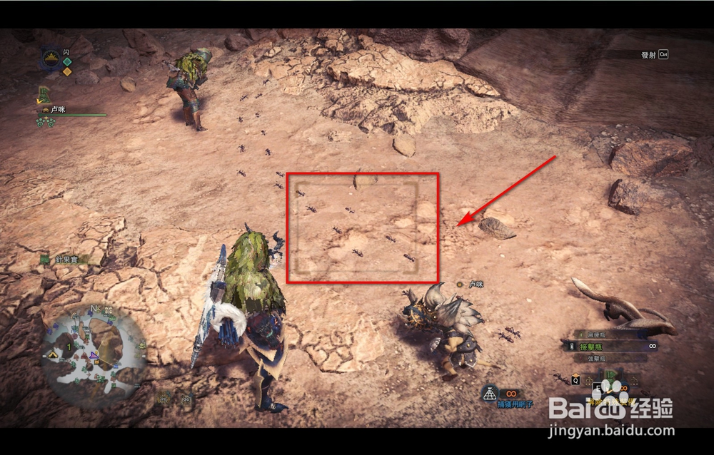 怪物猎人世界搬运蚁怎么捕捉