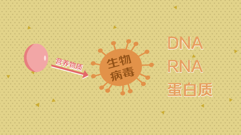 病毒怎样生活和繁殖