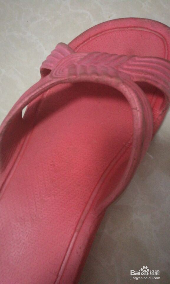 怎样不花钱打造泰迪狗的日常生活?