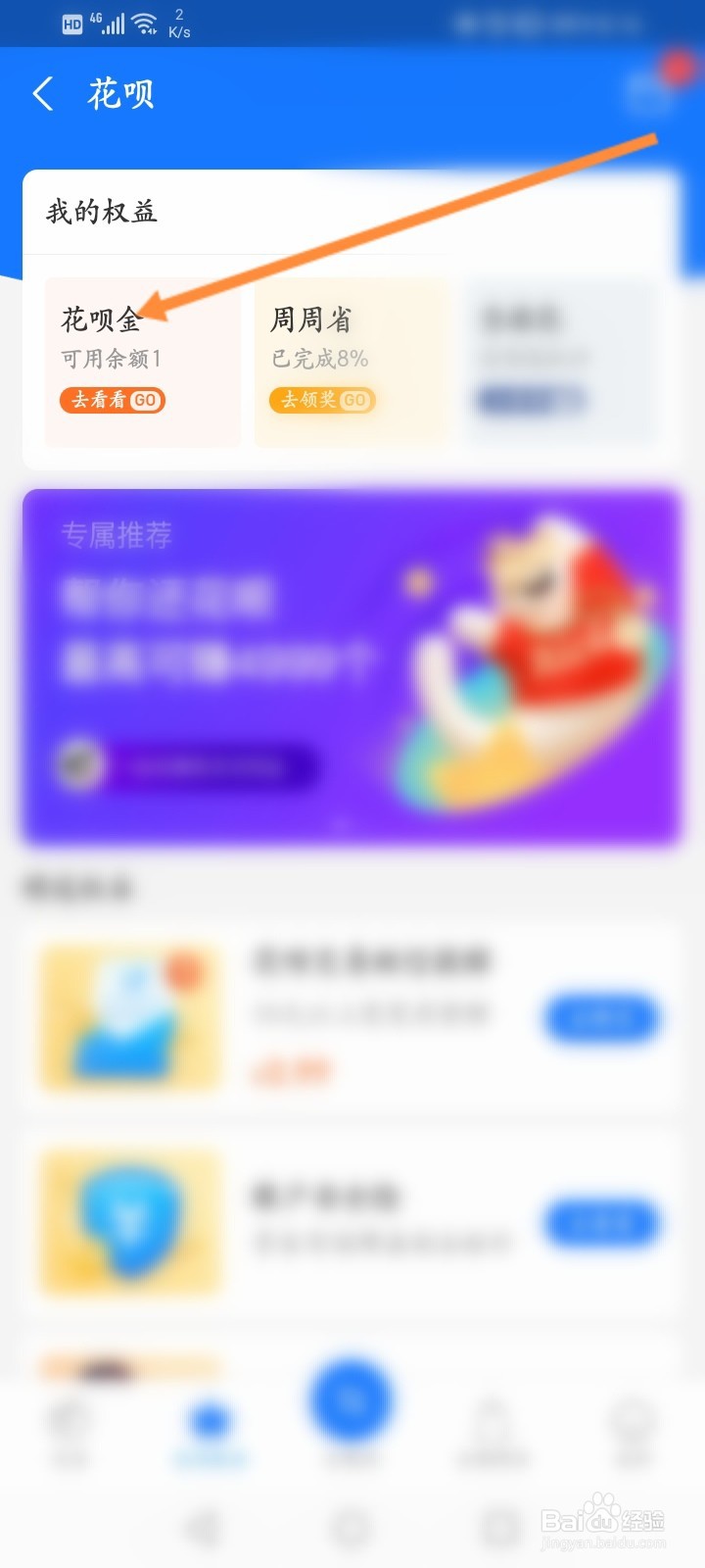 怎么查看花呗金的使用记录