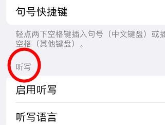 iPhone13如何启用键盘的听写功能