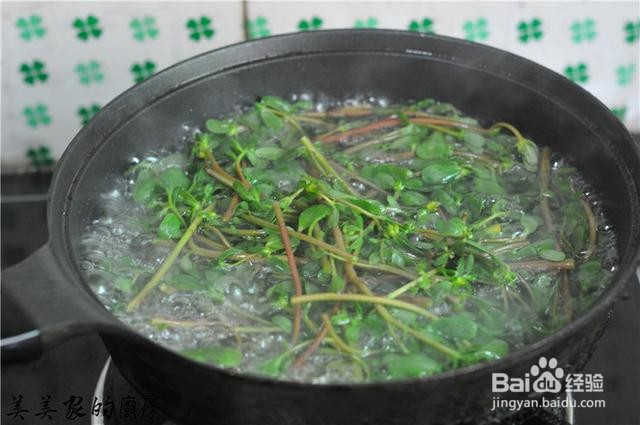 家庭自制凉拌马齿笕