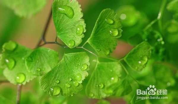 春季怎么护理皮肤