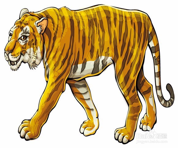 由老虎伤人事件所想到的