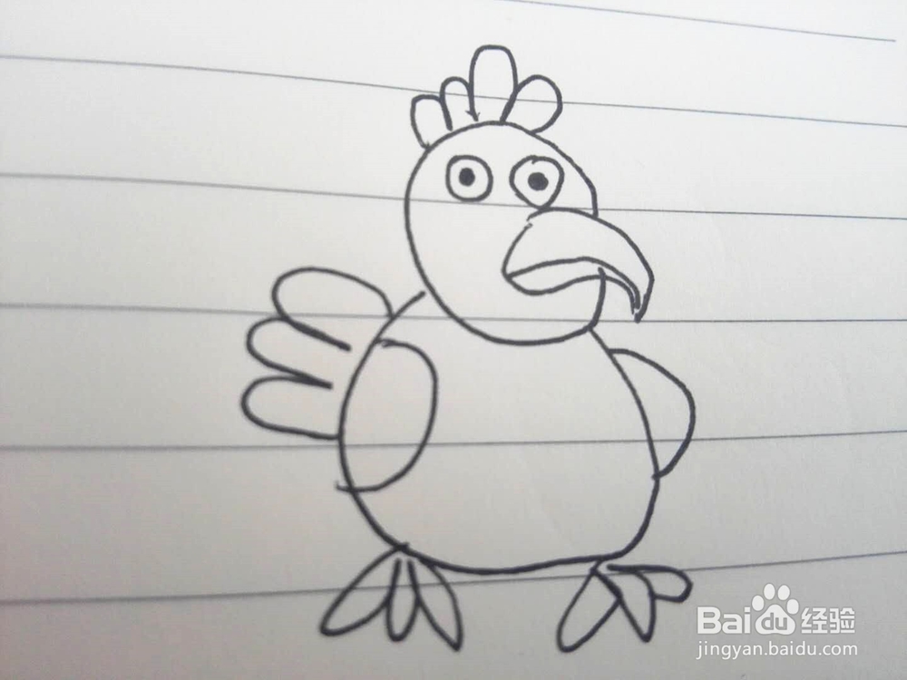简笔画之老母鸡的画法经验分享