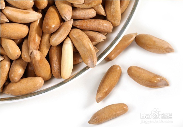 松子的营养和选购技巧