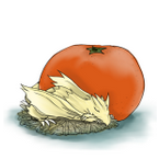 【Qoo攻略】『暗杀教室 包围时间』首抽入门