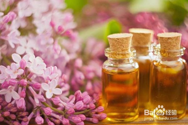 丁香精油应该怎么用？