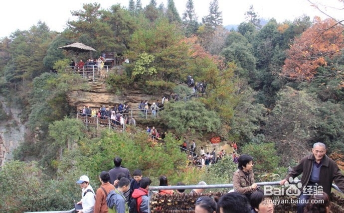 蚌埠到张家界自驾游