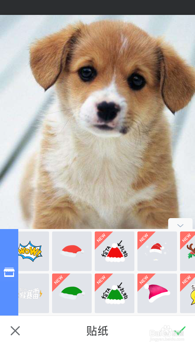 微信头像图如何添加圣诞帽