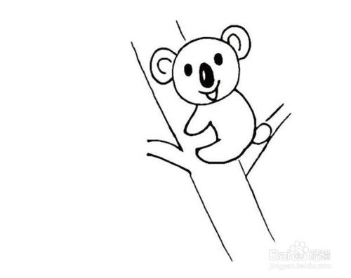 画树袋熊的儿童卡通简笔画教程