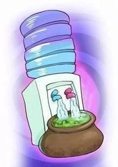 传说中的“千滚水”、“阴阳水”真的不能喝吗