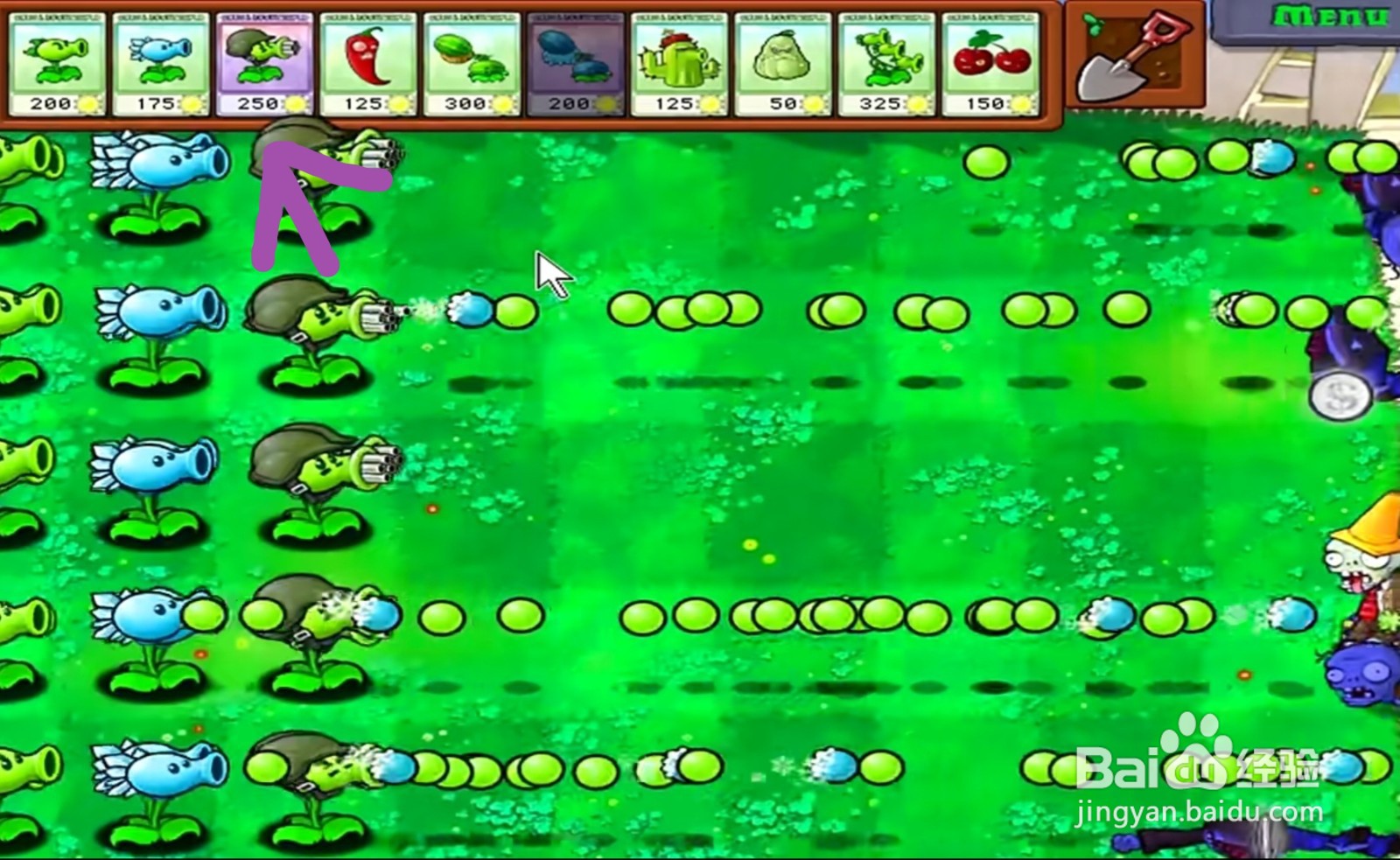 植物大战僵尸中的升级版豌豆射手怎么用？