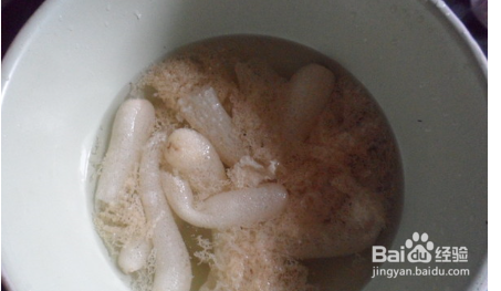 美味竹荪排骨汤