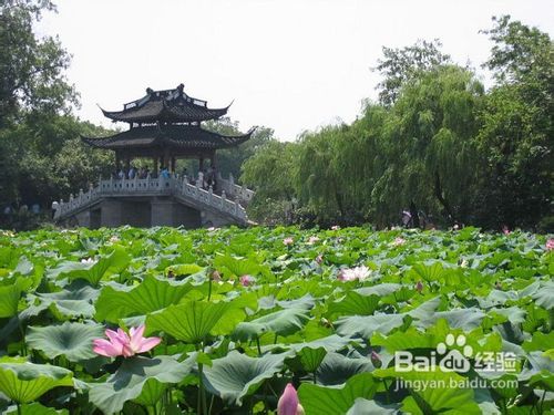 杭州西湖一日游