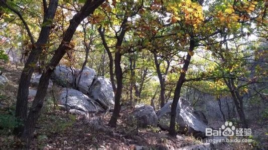 秋游小黑山大连自助游攻略