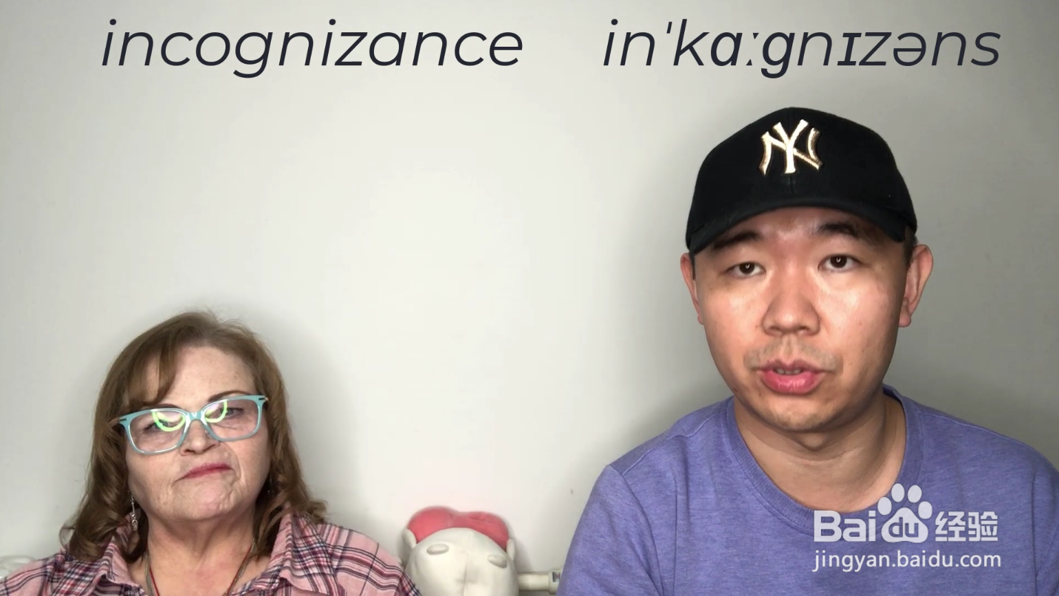 incognizance什么意思