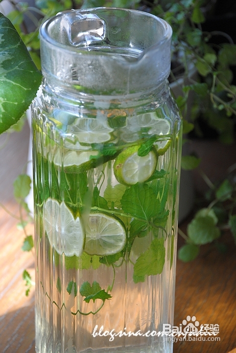 值得推崇的提神方式,提神醒脑解秋乏【青柠薄荷茶】