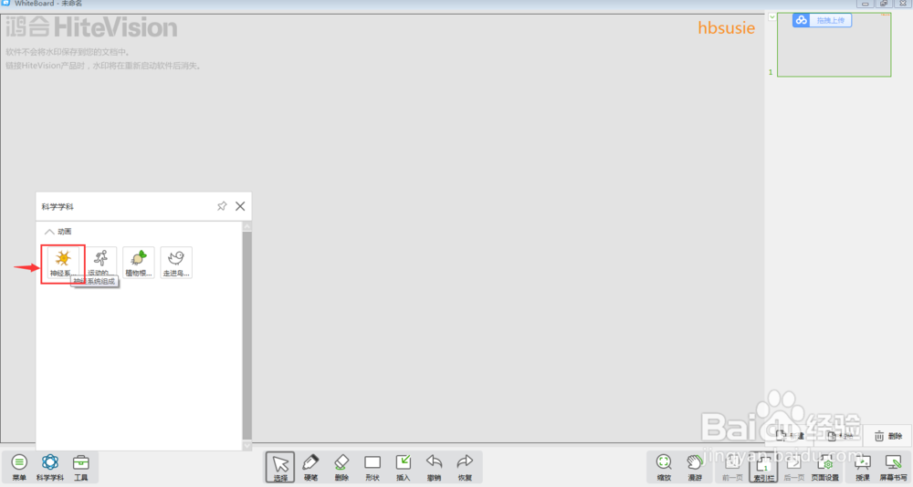 怎样在白板中进行神经系统的组成教学