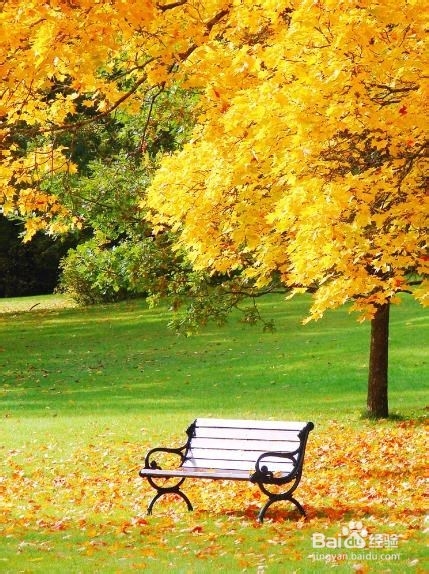 怎样用我们身边即有的物品治疗伤风着凉和上火？