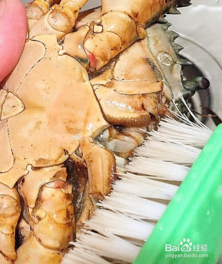 煮螃蟹的做法步骤如下
