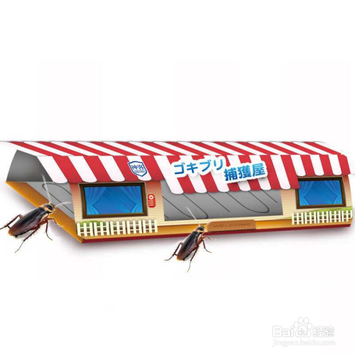 家里有猫怎么除蟑螂