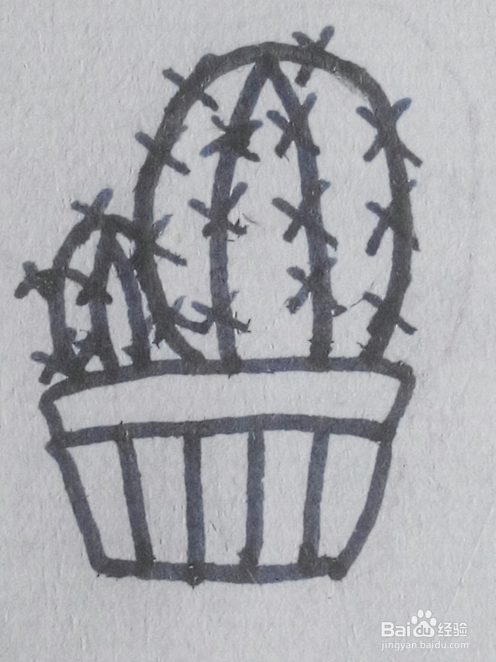 27萌萌哒仙人掌简笔画