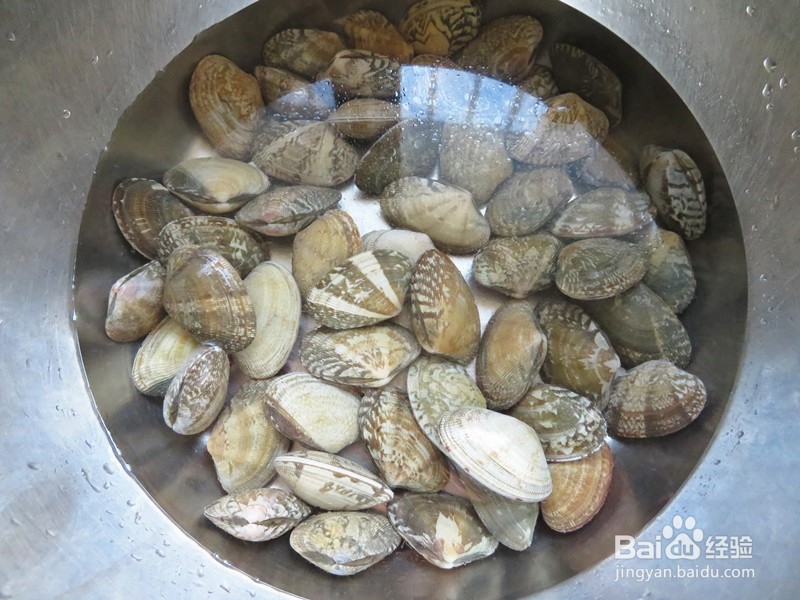 带你做辣炒花蛤