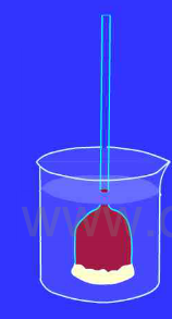 高中生物学习方法：[42]物质跨膜运输