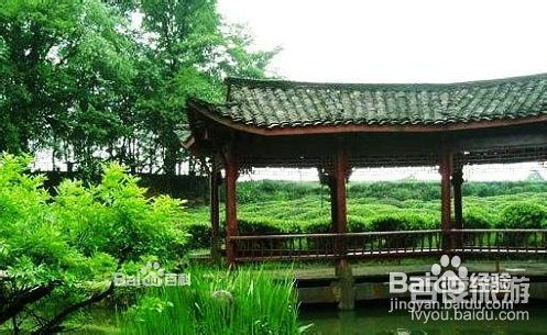 雅安地震之雅安回忆